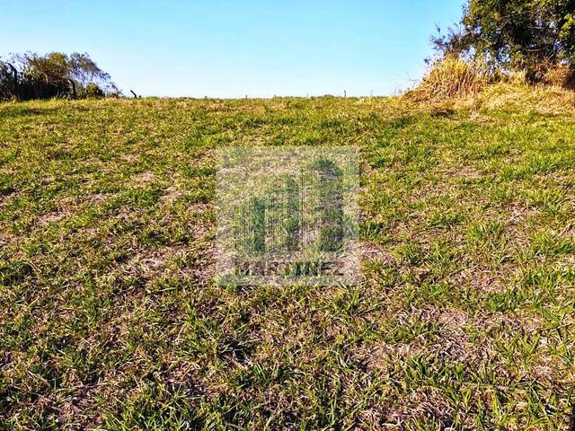 #2676 - Área comercial para Venda em Morungaba - SP