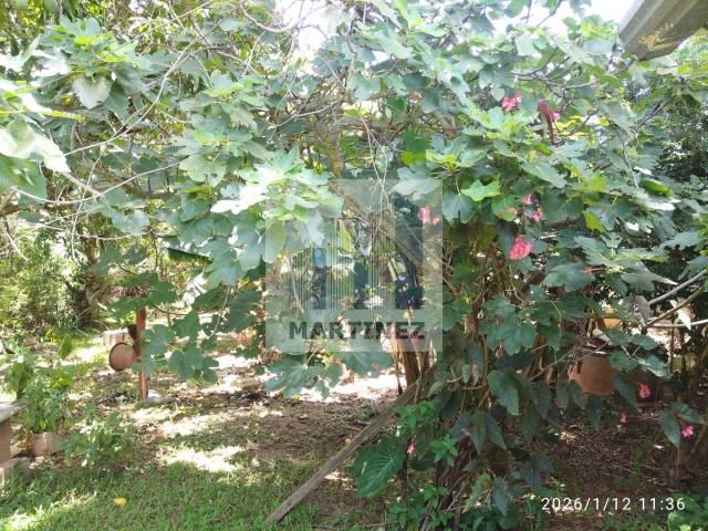 #5133 - Chácara na cidade para Venda em Itatiba - SP