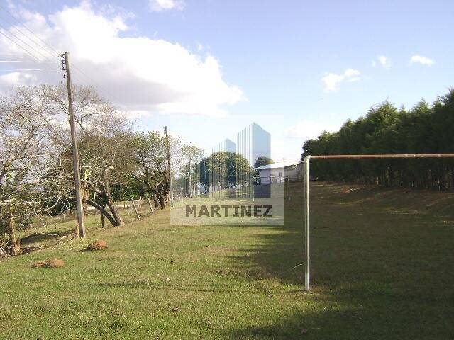 Sítio, 3 quartos, 500 m² - Foto 21