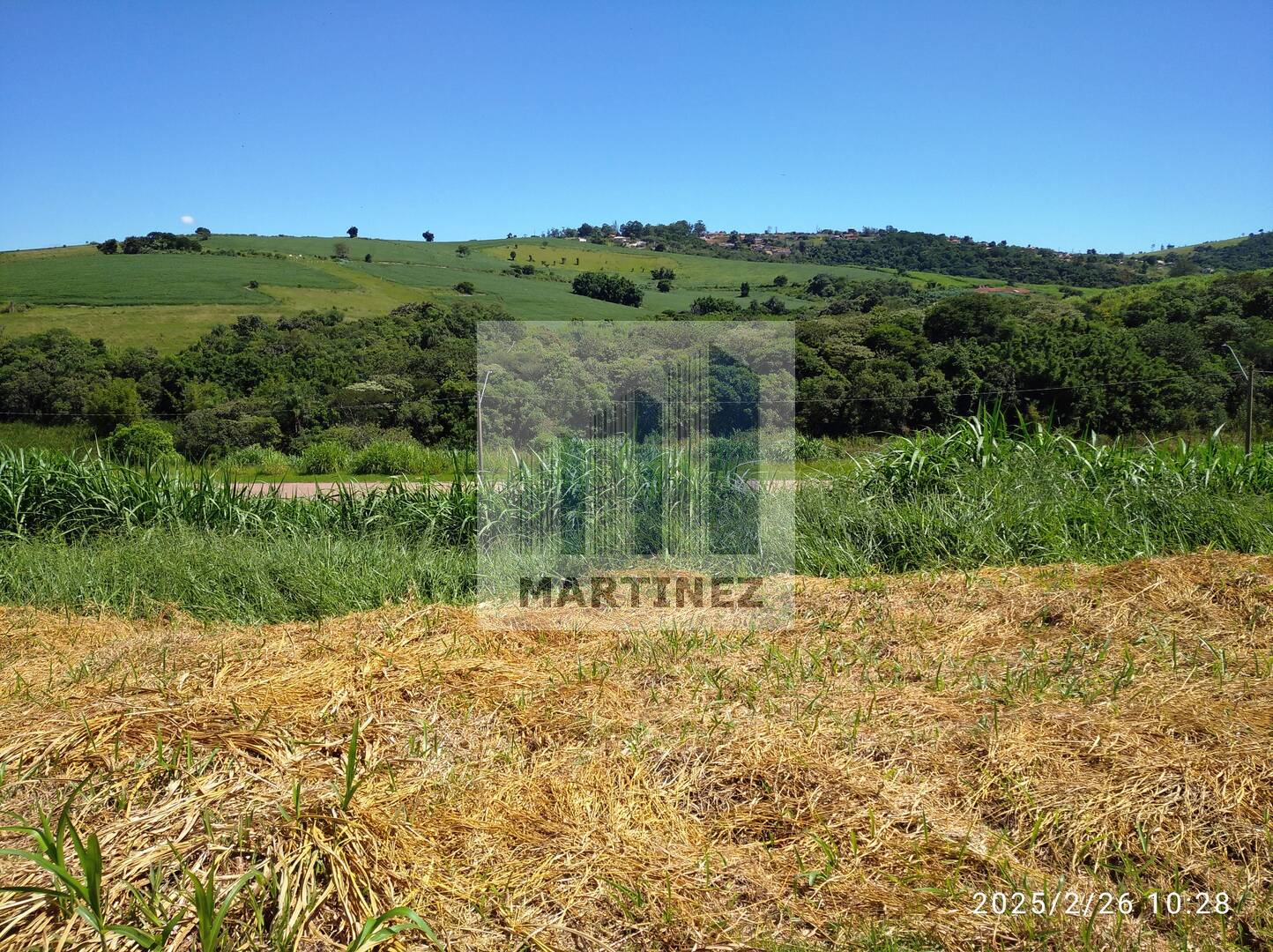 Terreno, 1000 m² - Foto 4