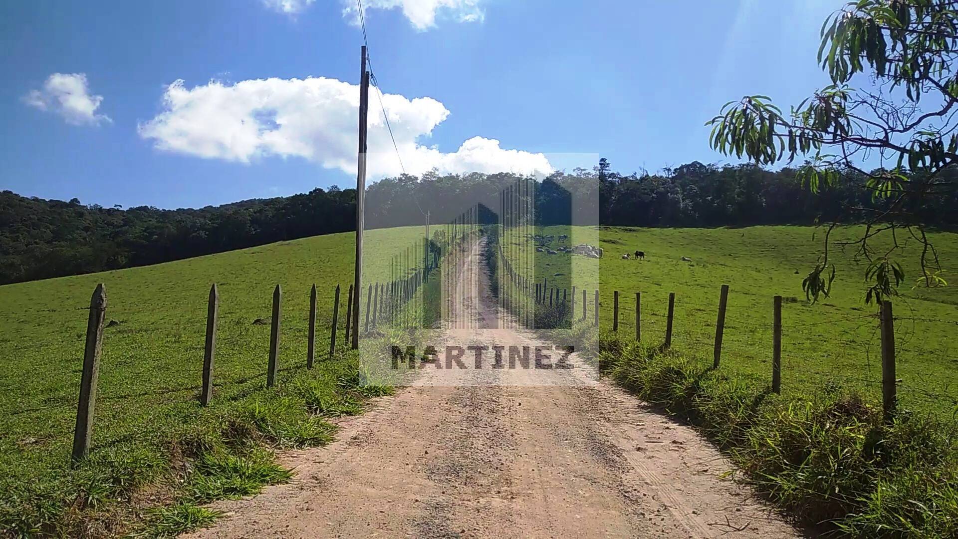 Sítio, 3 quartos, 500 m² - Foto 25