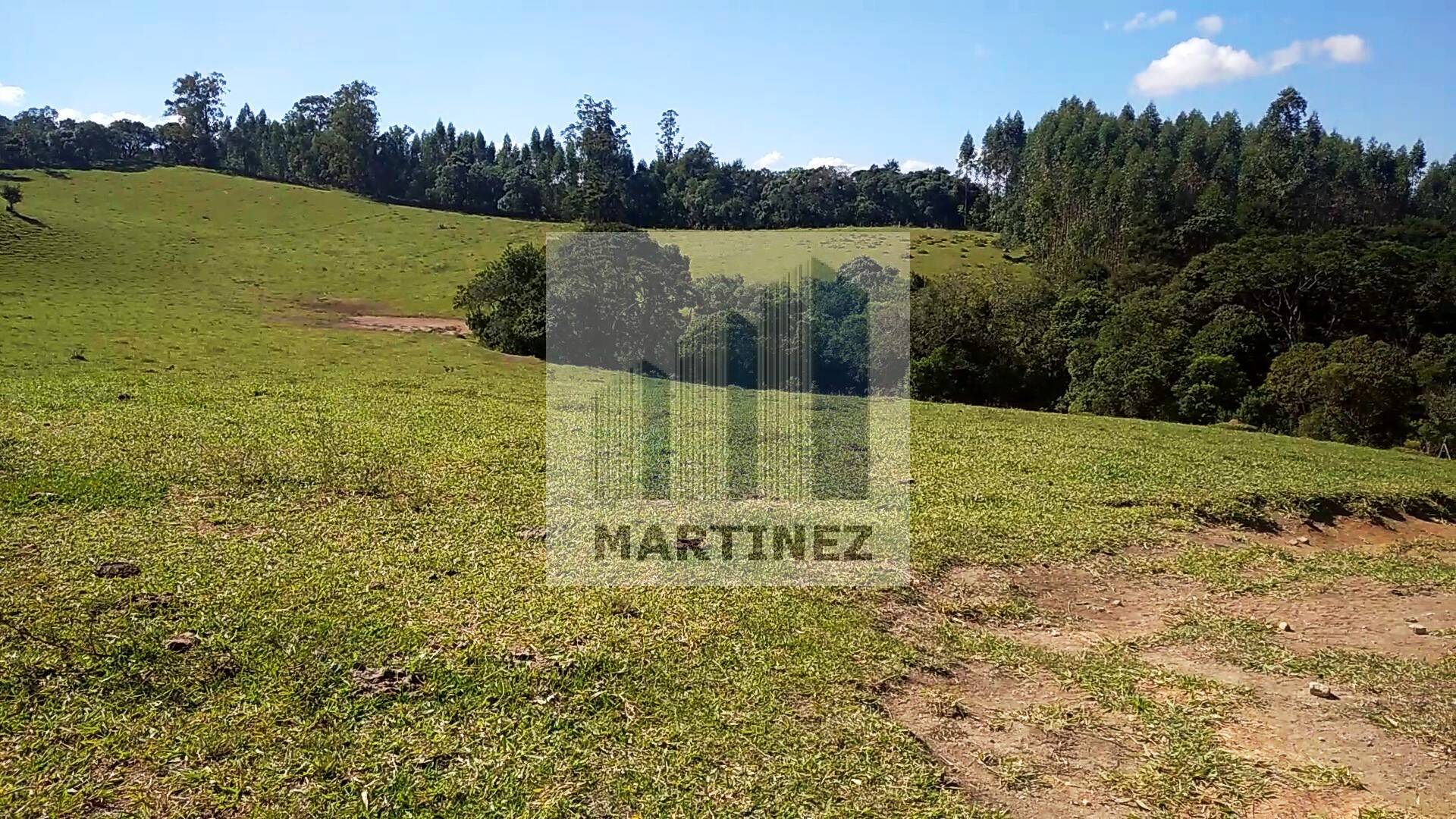 Sítio, 3 quartos, 500 m² - Foto 32