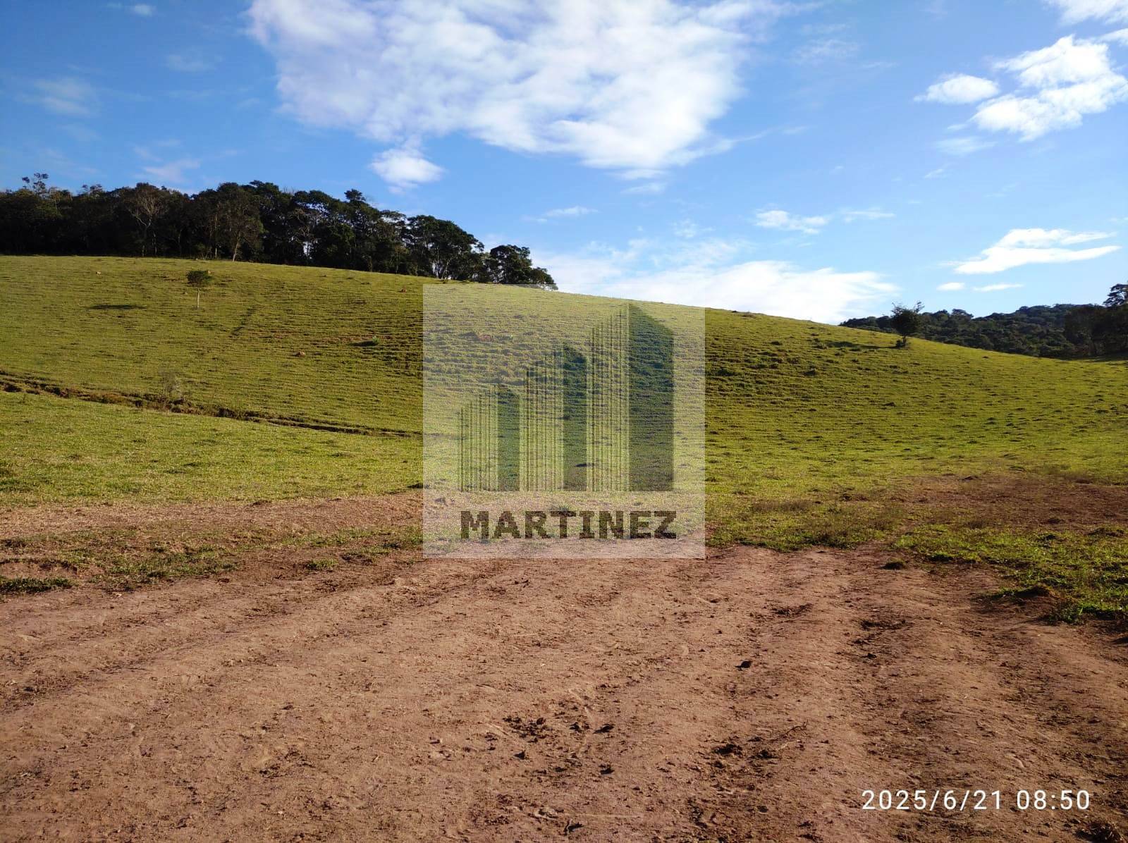 Sítio, 3 quartos, 500 m² - Foto 39