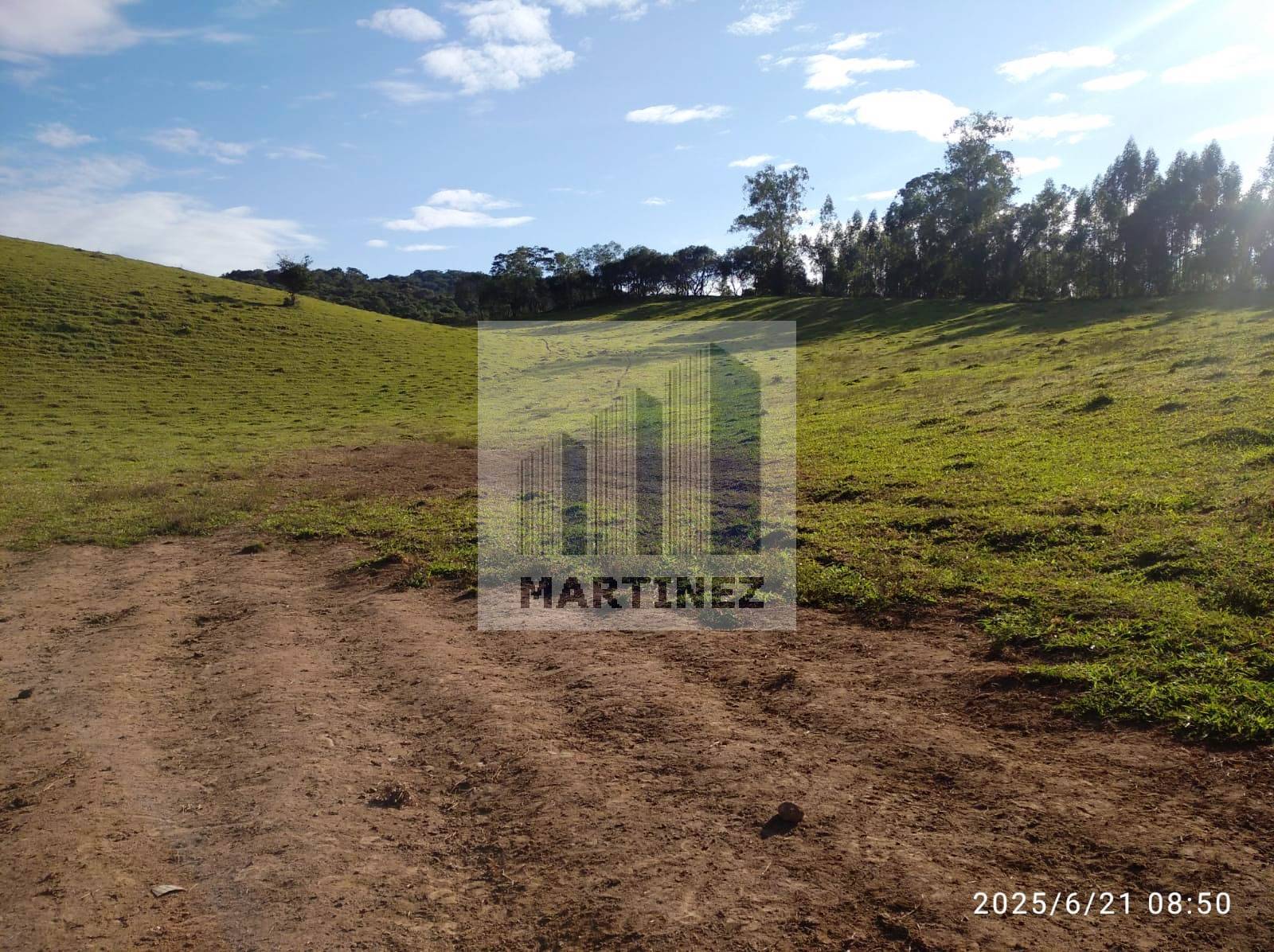 Sítio, 3 quartos, 500 m² - Foto 41