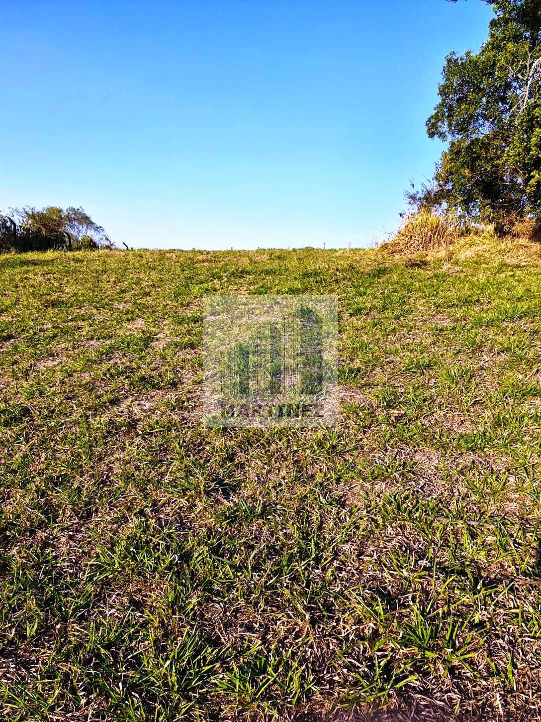 Terreno, 1000 m² - Foto 3