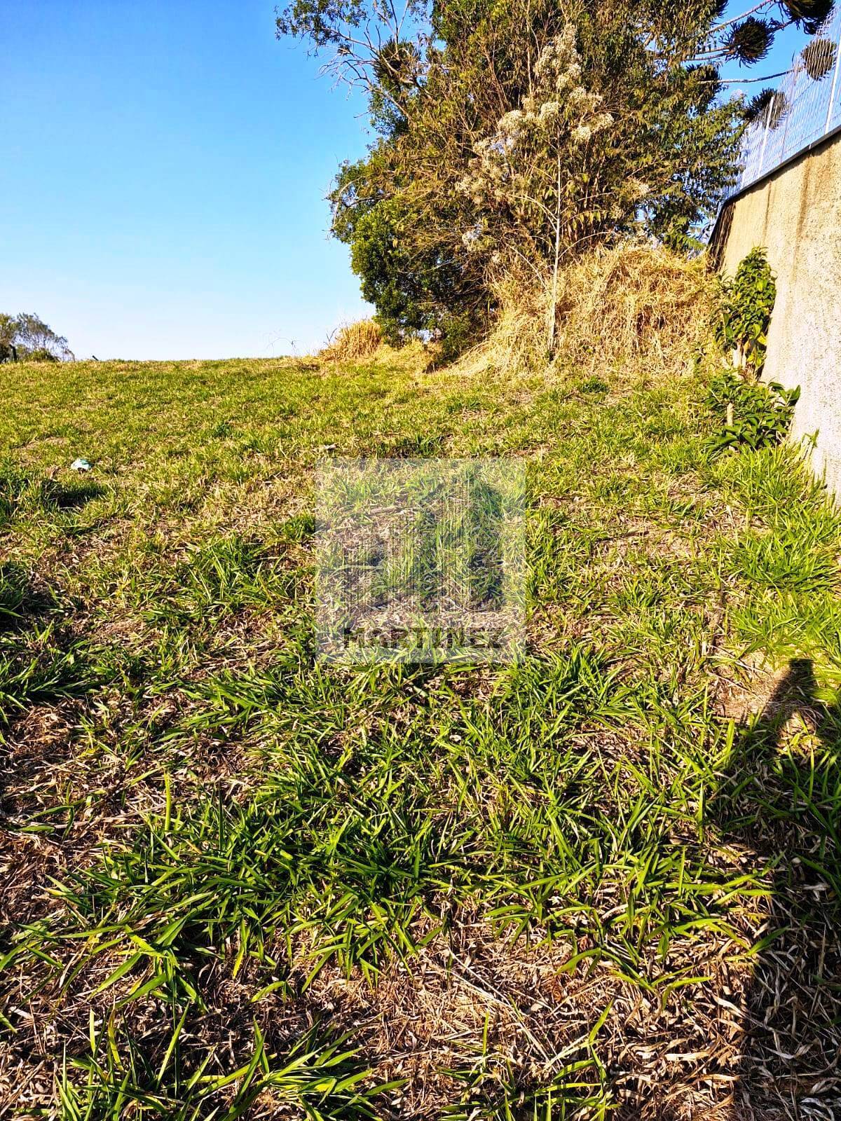 Terreno, 1000 m² - Foto 4