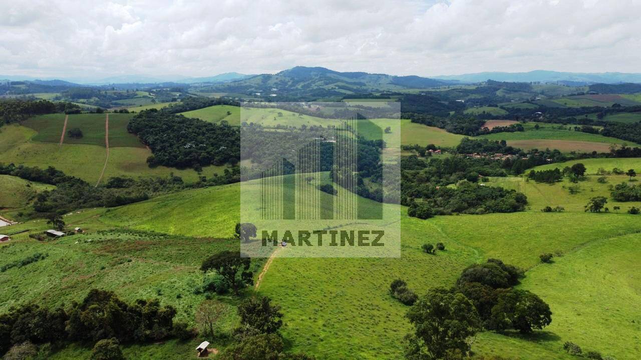 Sítio, 3 quartos, 900 m² - Foto 1