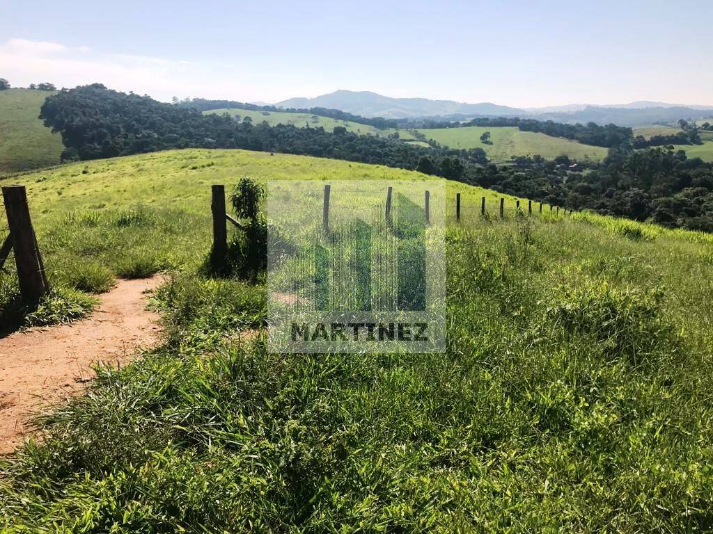 Sítio, 3 quartos, 900 m² - Foto 4