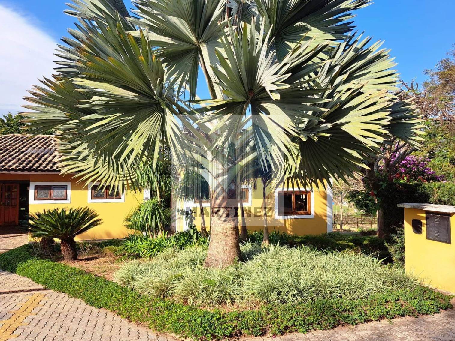 Sítio, 4 quartos, 14 hectares - Foto 1