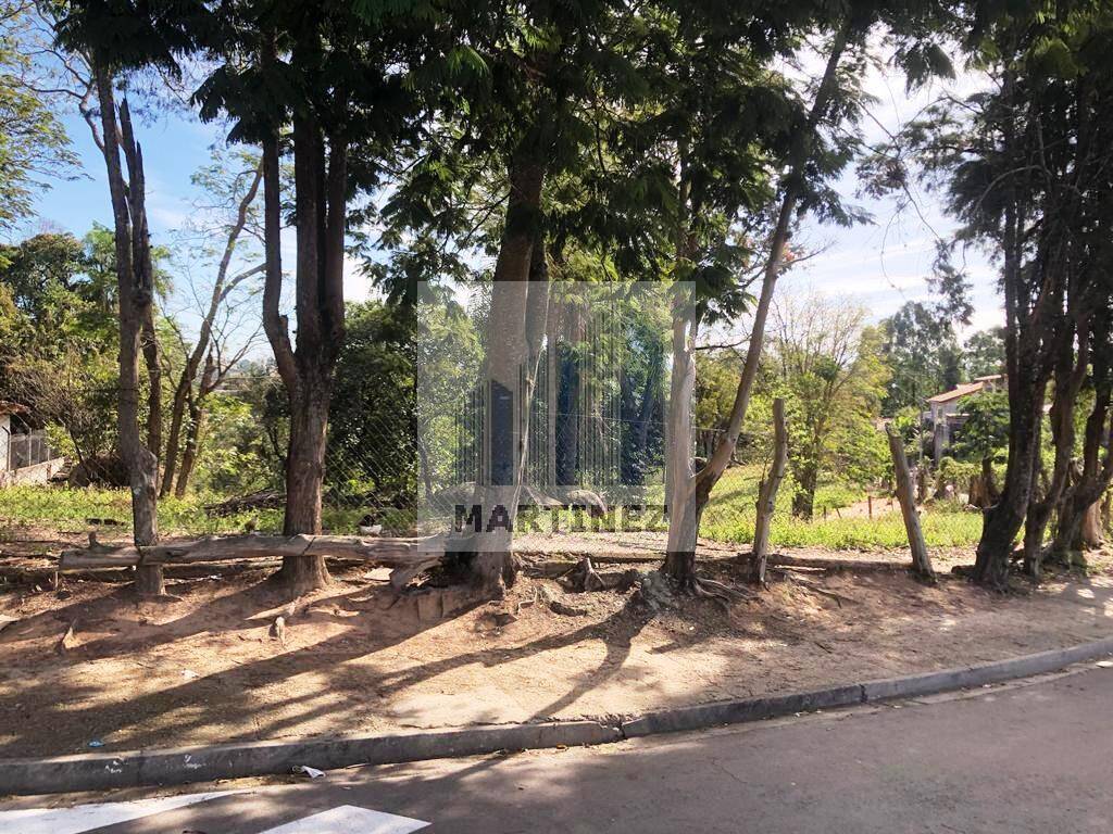 Terreno, 9000 m² - Foto 3