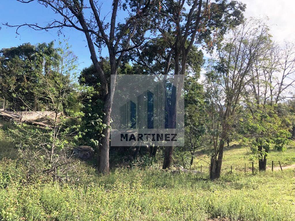 Terreno, 9000 m² - Foto 10