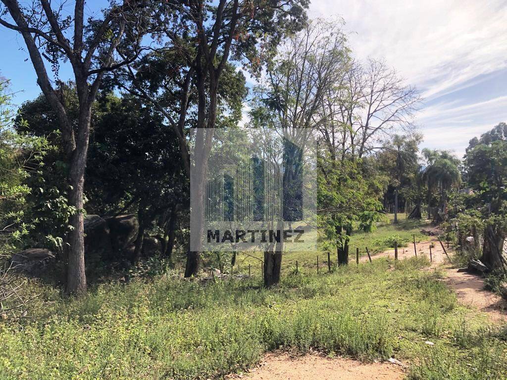 Terreno, 9000 m² - Foto 11